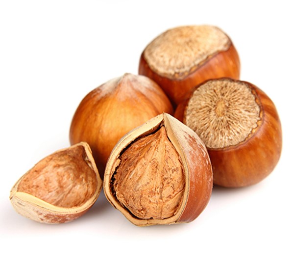 Orzech laskowy w łupinie