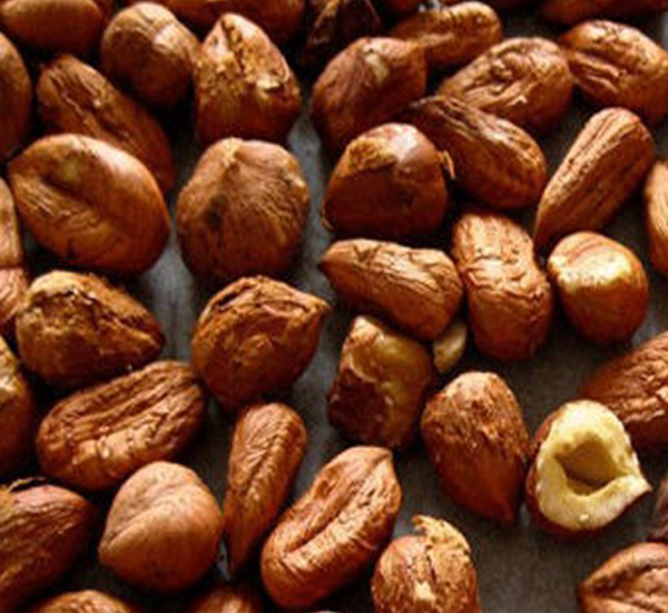 Shrivelled Hazelnut Kernel