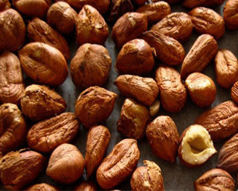SHRIVELLED HAZELNUT KERNEL