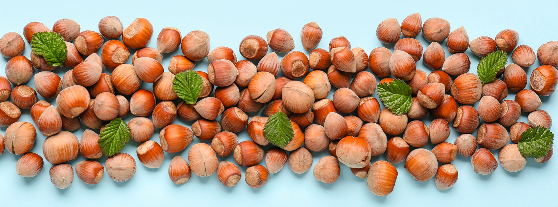 POL NUTS Group – Quality You Can Rely On