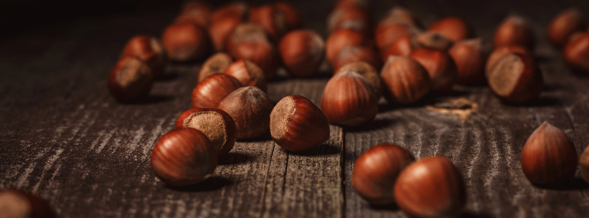POL NUTS Group – Quality You Can Rely On